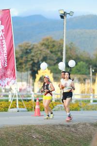 BIB: 
                            <button type="button" onclick="openModal(27851614)" class="btn btn-primary btn-sm float-right btn-popup" data-toggle="modal" data-target=".modal-high-quality">
                        <i class="fas fa-shopping-cart"></i> Add to Cart
                    </button>
                                            <button type="button" onclick="isThisMe(27851614, true)" class="btn btn-success btn-sm float-right btn-popup btn-isme hidden" data-toggle="tooltip" data-placement="bottom" title="นี่คือรูปของคุณใช่ไหม คลิกที่นี่เพื่อเอาเข้าอัลบั้ม">
                        <i class="fas fa-plus"></i> Add to album
                    </button>
                    <button type="button" onclick="isThisMe(27851614, false)" class="btn btn-warning btn-sm float-right btn-popup btn-isnotme hidden">
                        <i class="fas fa-ban"></i> Remove from album
                    </button>